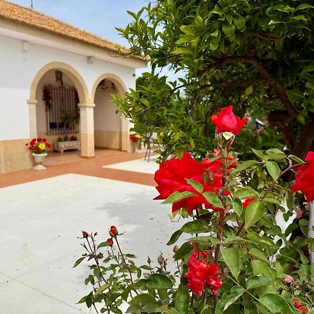 La Casa Del Flamenco Villa Cañada del Rabadán Exteriör bild