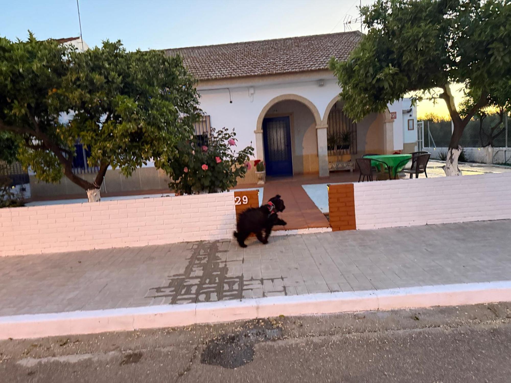 La Casa Del Flamenco Villa Cañada del Rabadán Exteriör bild