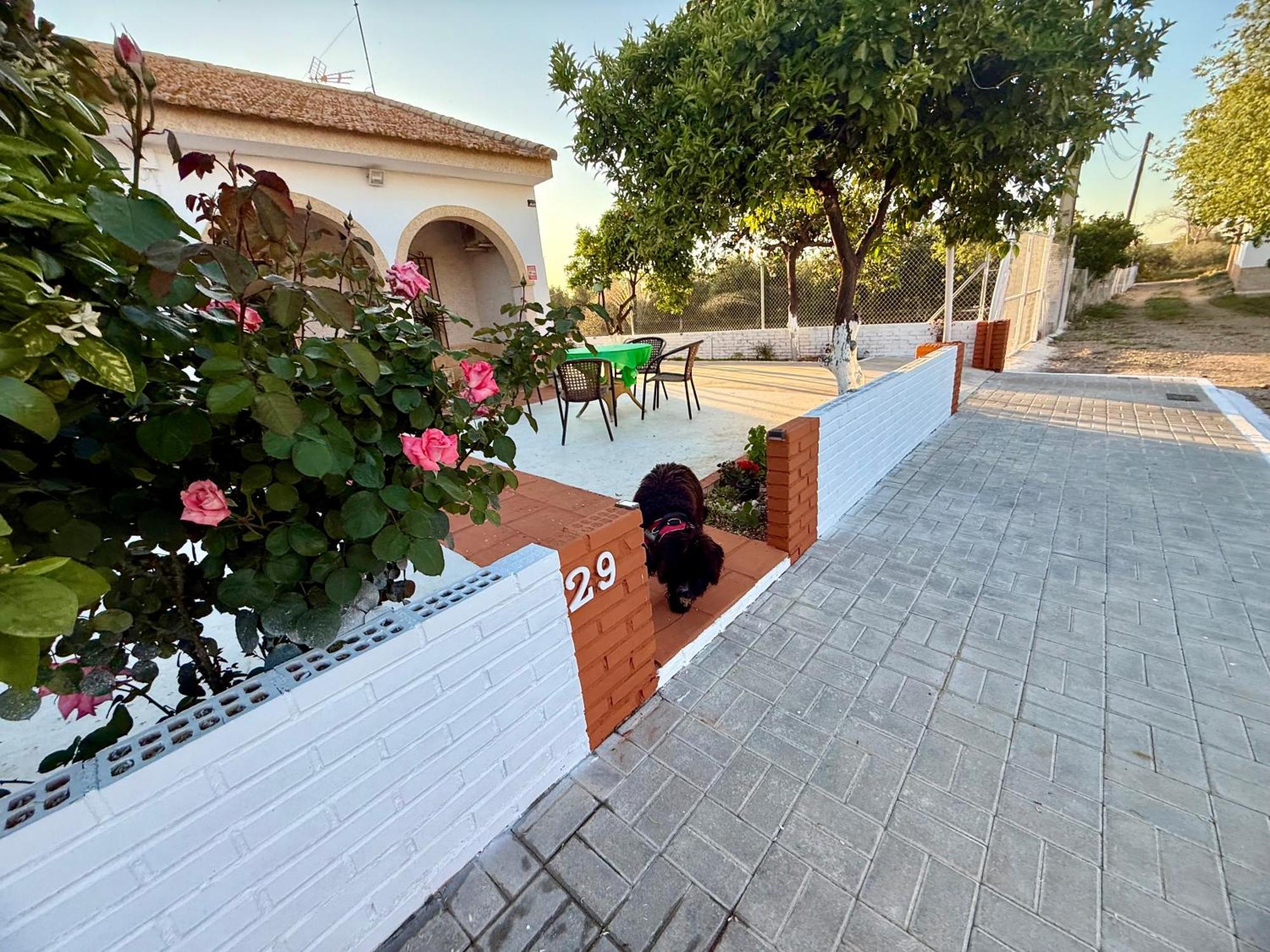 La Casa Del Flamenco Villa Cañada del Rabadán Exteriör bild