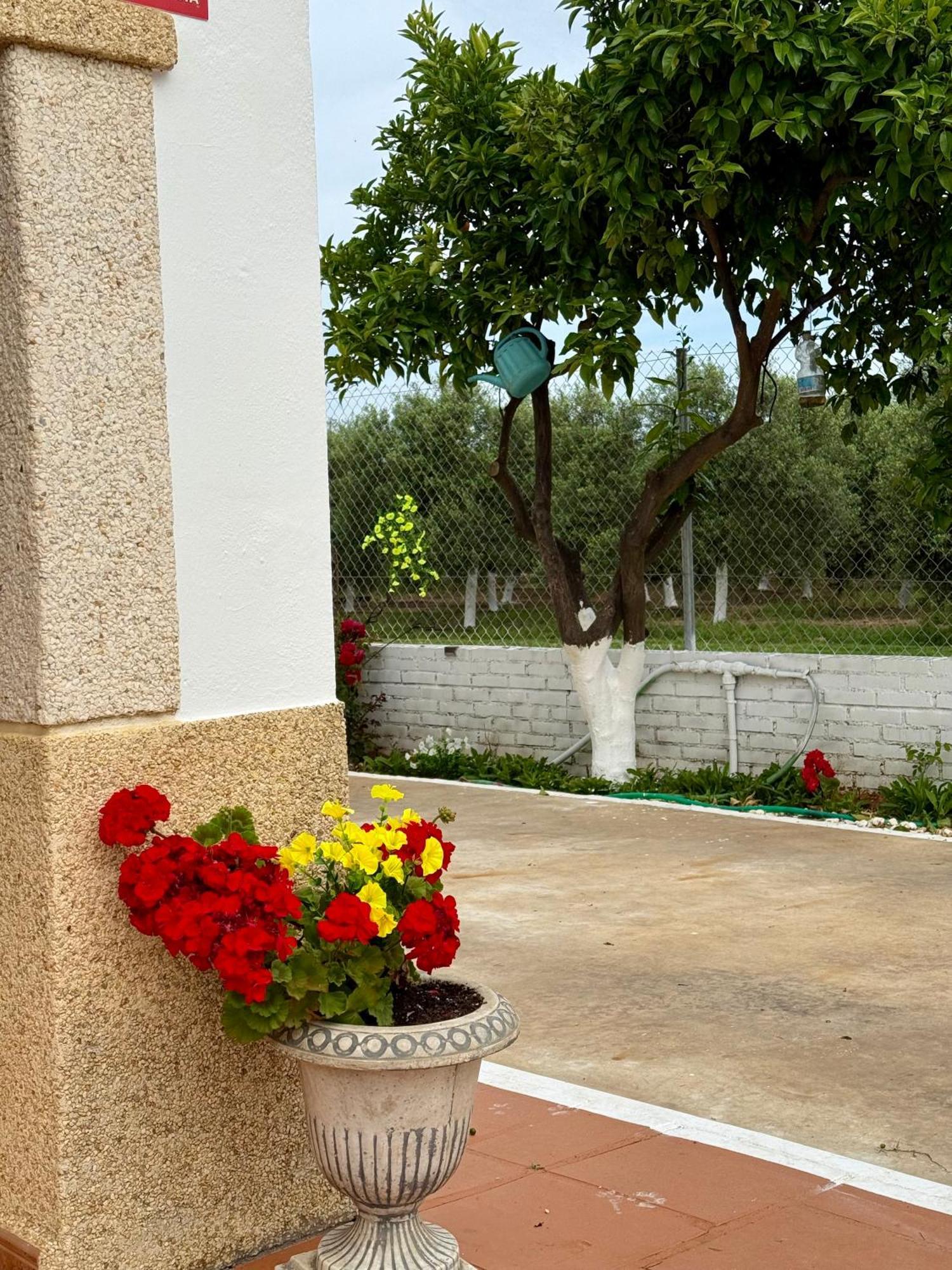 La Casa Del Flamenco Villa Cañada del Rabadán Exteriör bild
